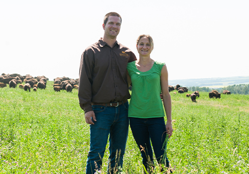 Proveedores de confianza de ACANA™ Petfoods: Bisonte criado en rancho, Pilatus Farms | 